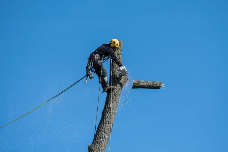 SEO for Tree Service Companies: How to Win Storm-Season Calls Before the Next Windstorm Hits
