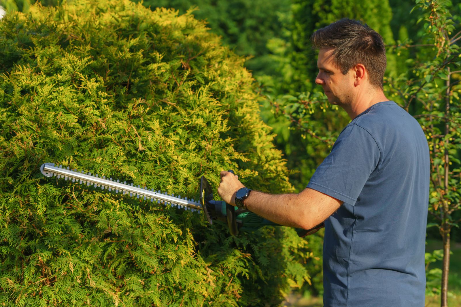 Landscaper trimming a hedge with electric trimmer — the kind of routine maintenance customers search for weekly