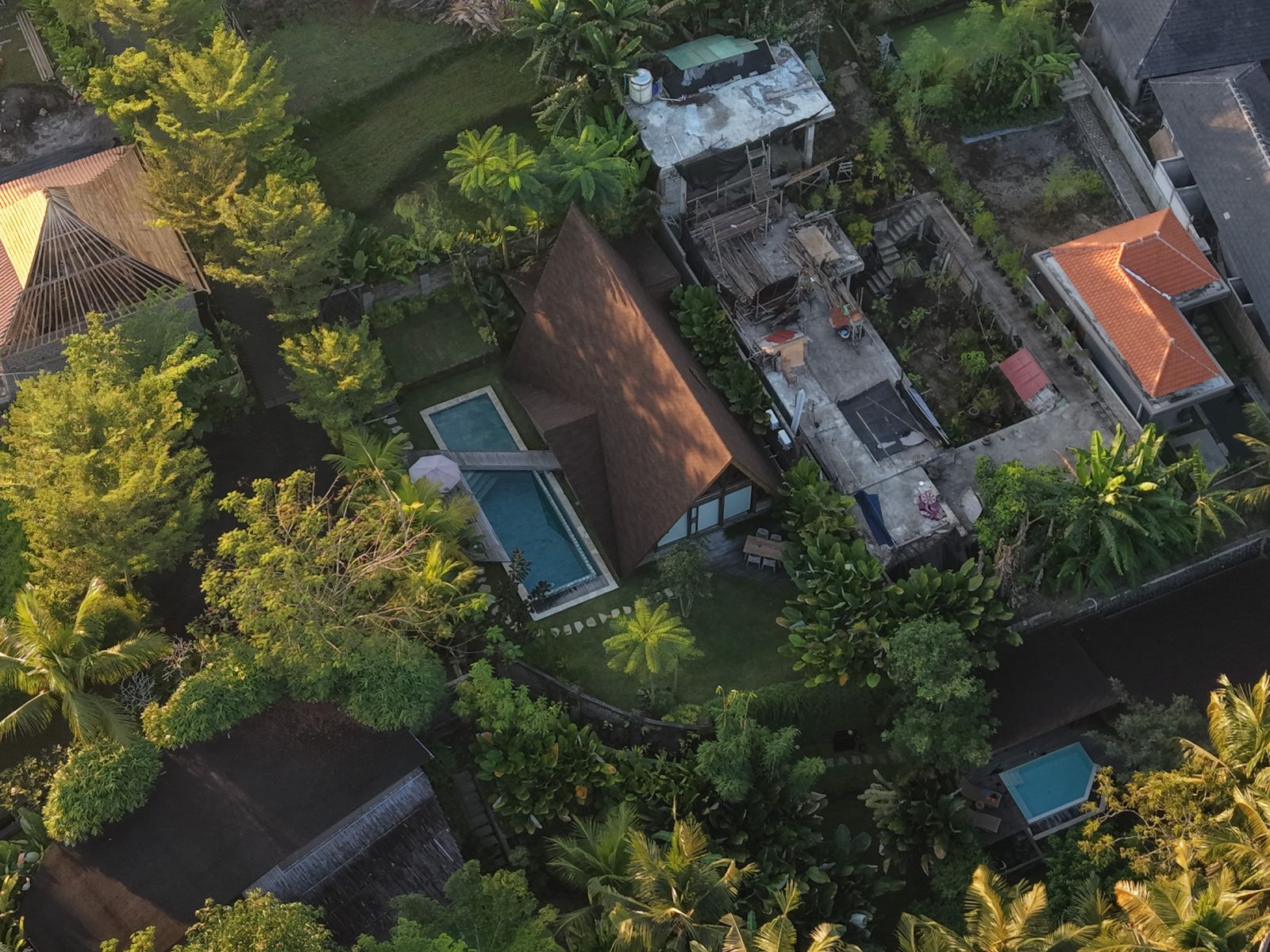 Aerial view of a backyard pool surrounded by landscaping — the finished result of months-earlier Google research