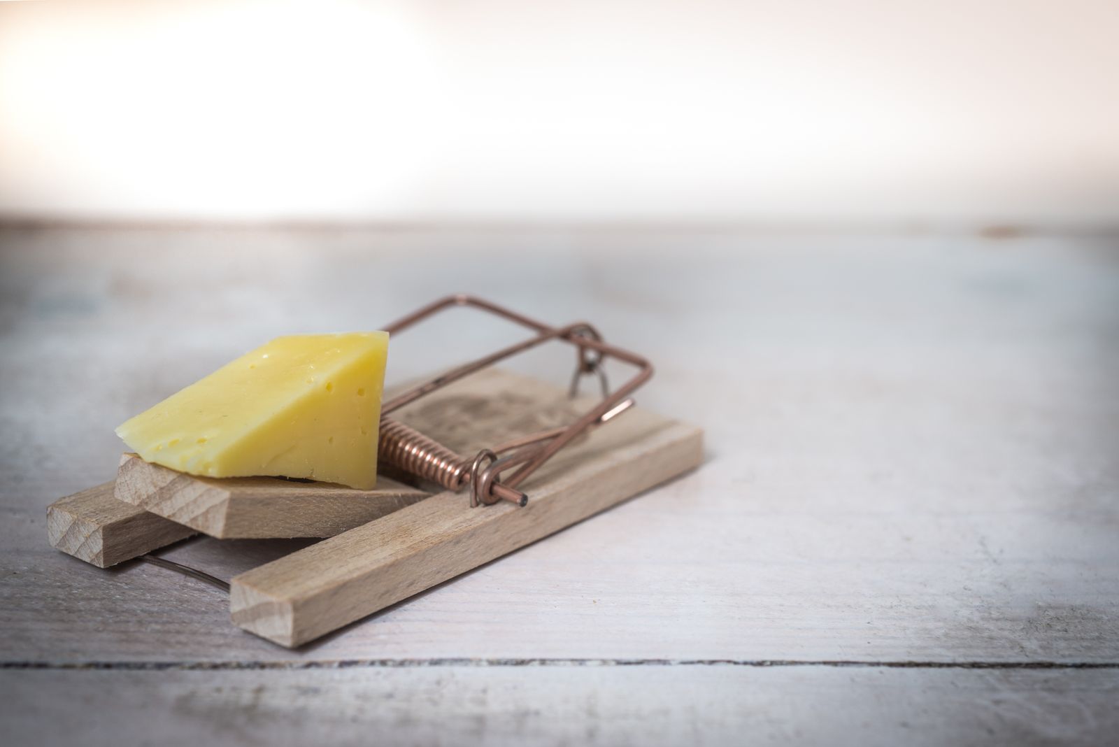 Wooden mouse trap baited with cheese on a rustic surface, representing rodent control content