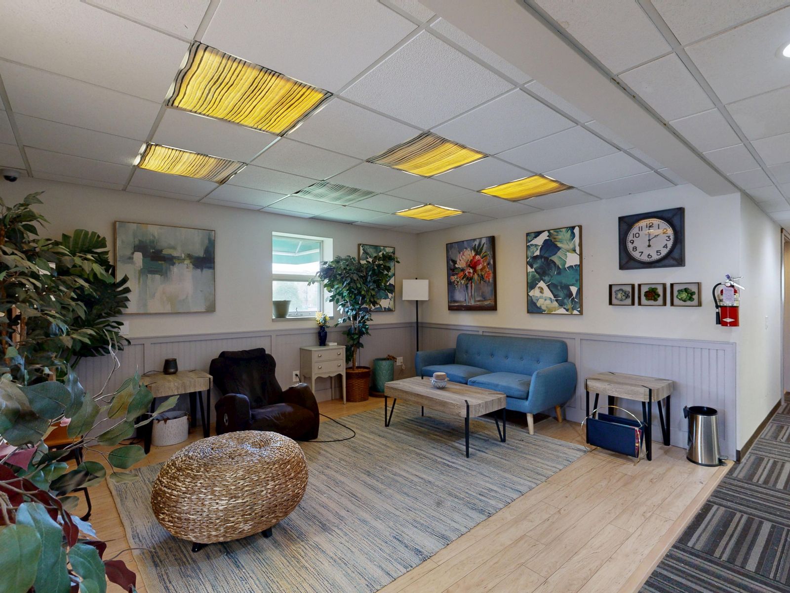 A cozy private practice therapy waiting room with plants and comfortable seating