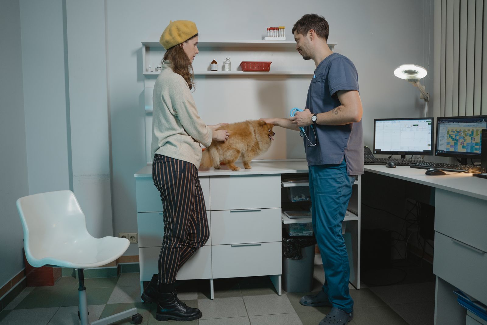Pet owner with Pomeranian consulting with veterinarian at a clinic counter