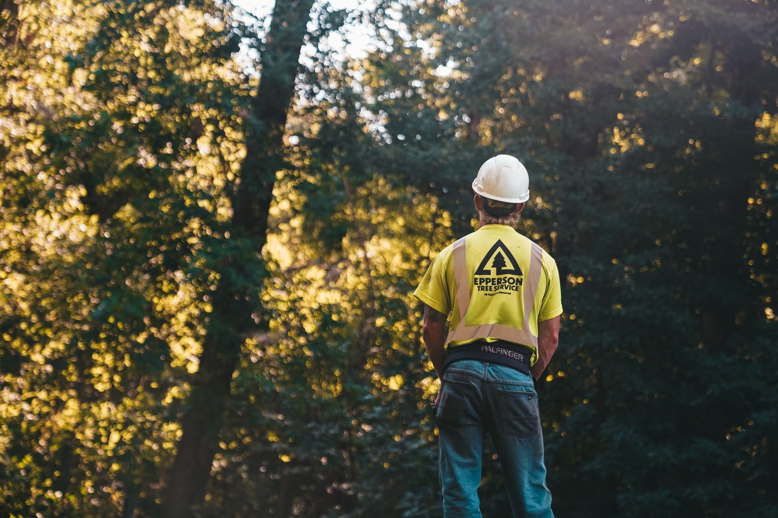 Tree service worker in a branded hi-vis shirt and hardhat looking up at trees on a job site