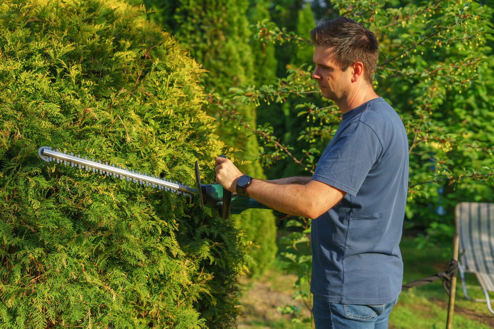 Landscaper trimming a garden hedge with an electric trimmer