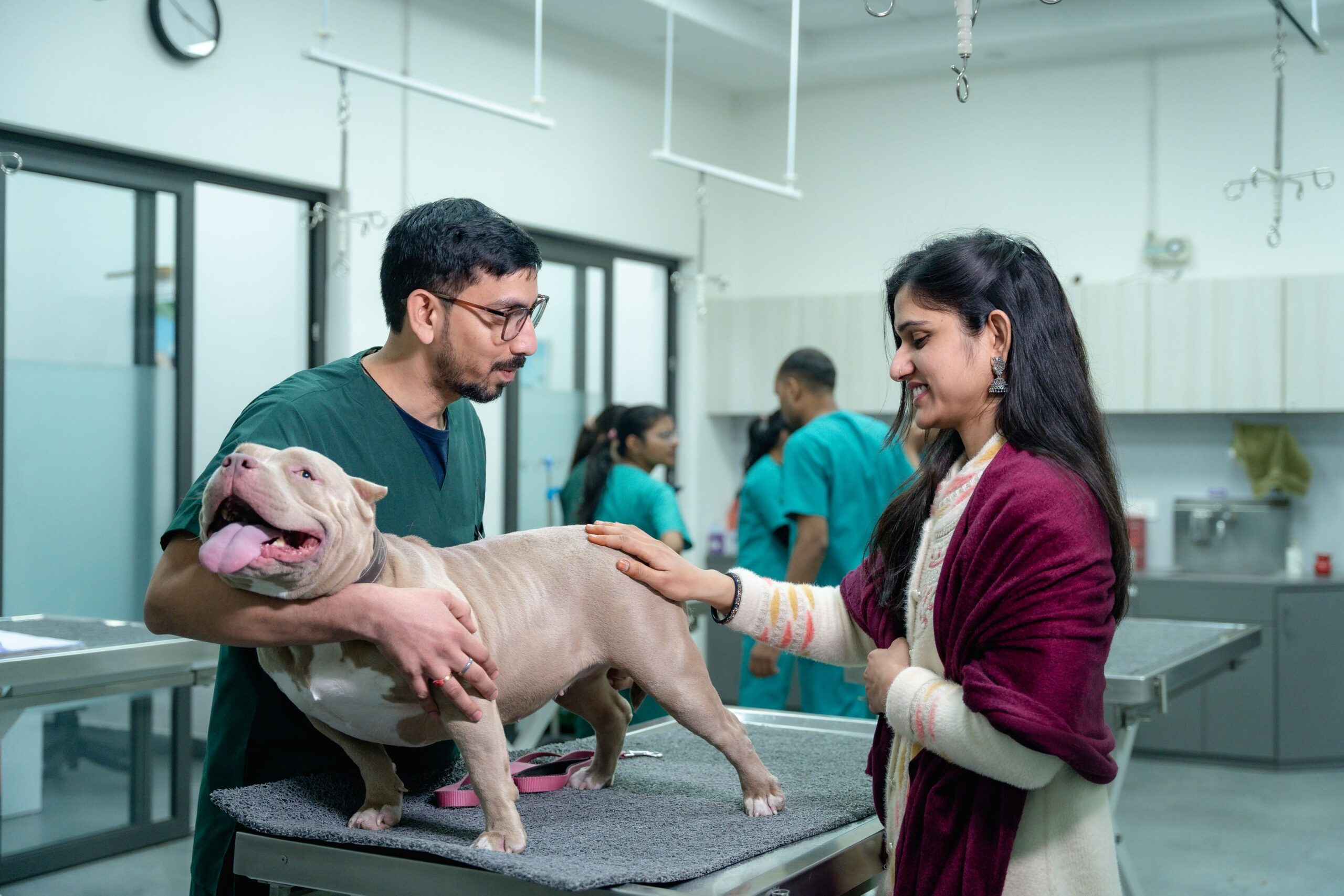 Veterinarian and pet owner examining a dog on the exam table in a clinic