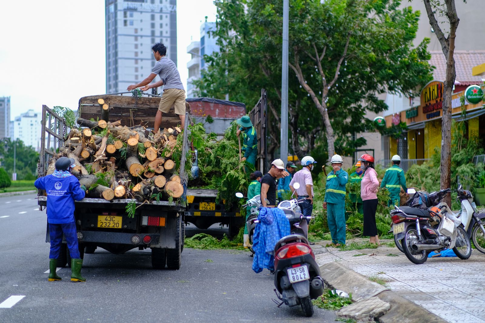 Tree service crew loading cut logs and branches onto a truck after a job