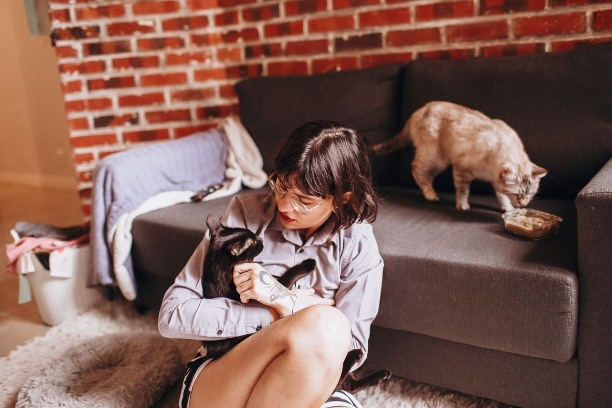 Pet owner sitting at home with two cats, researching veterinary care