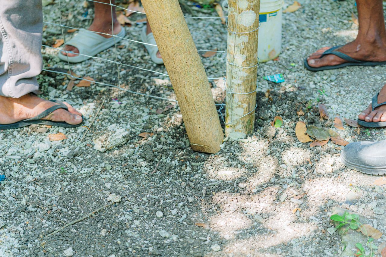 Workers installing a wooden fence post in a sunny outdoor area