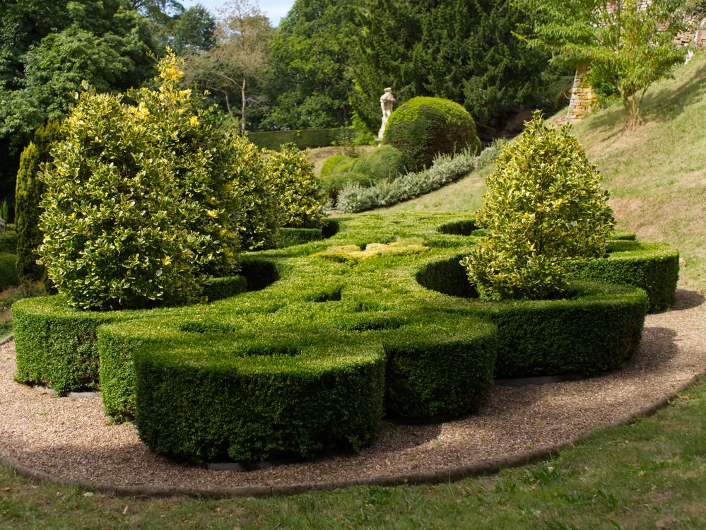 Elegant topiary garden with sculpted hedges and ornamental shrubs