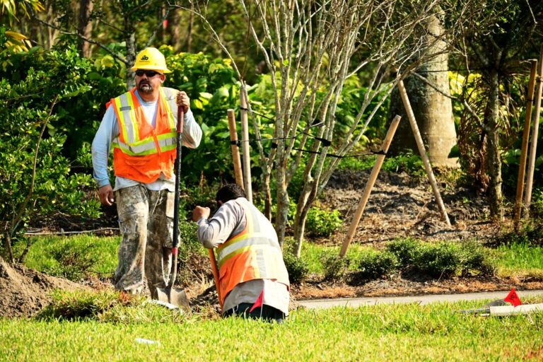 Landscaping crew installing plants at a residential property