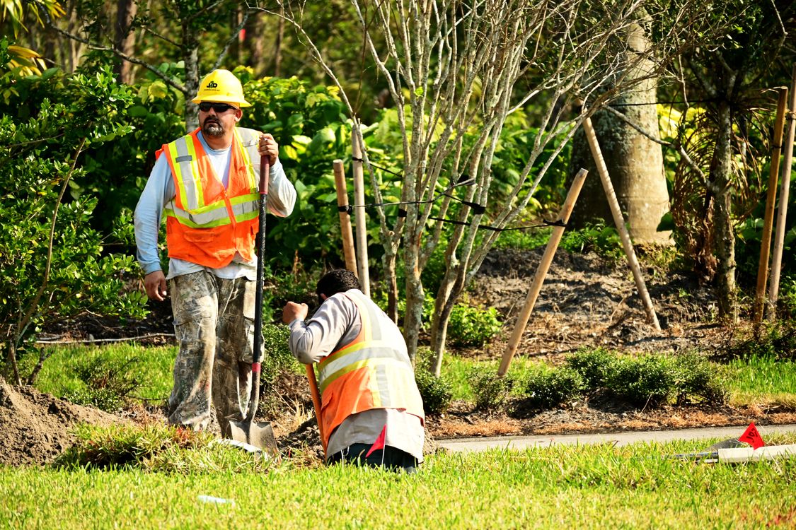 Landscaping crew installing plants at a residential property