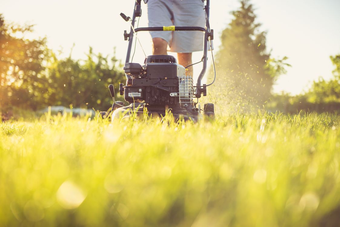 Worker mowing a lawn at golden hour with a push mower
