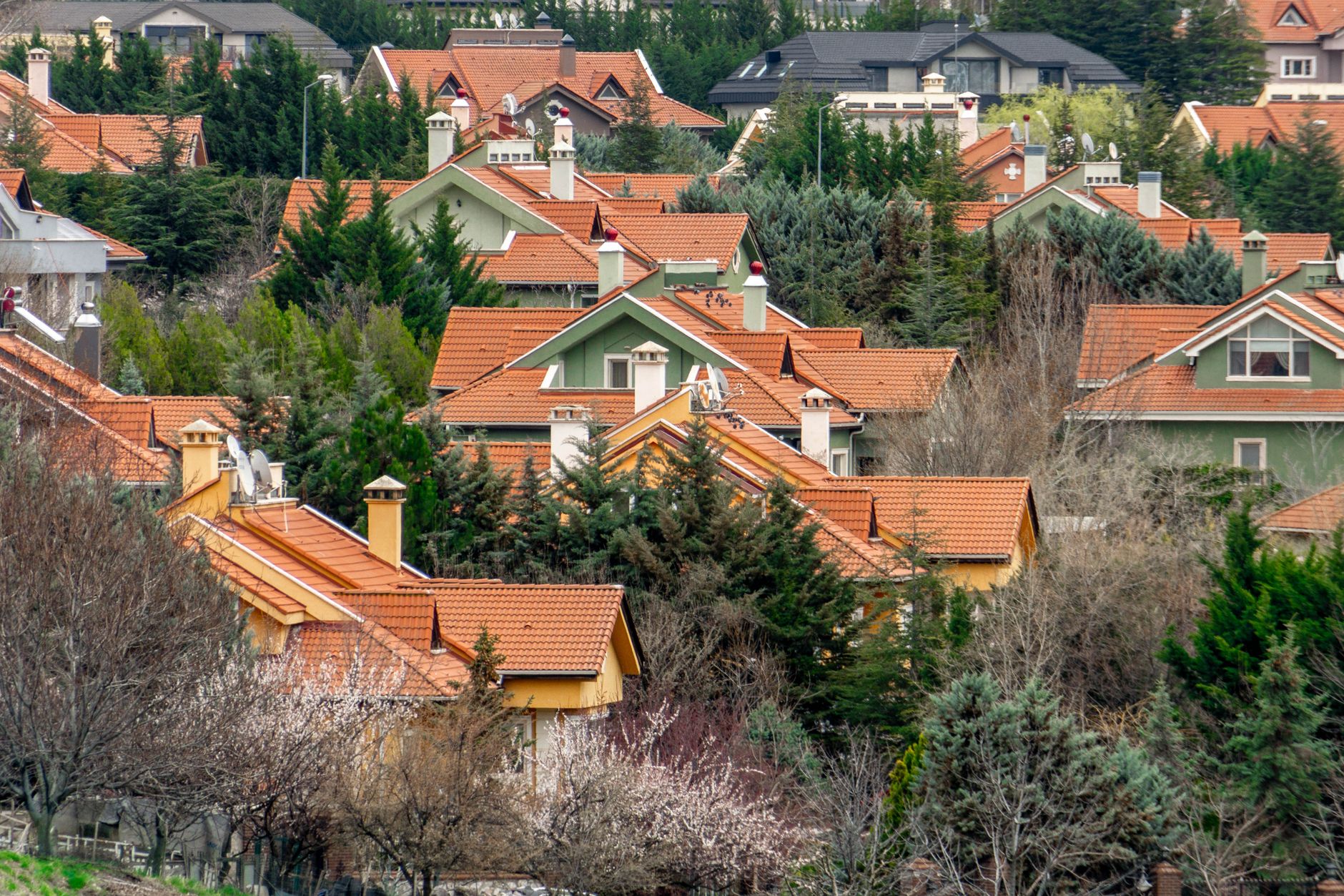 aerial view of a suburban residential neighborhood with tree-lined streets and houses