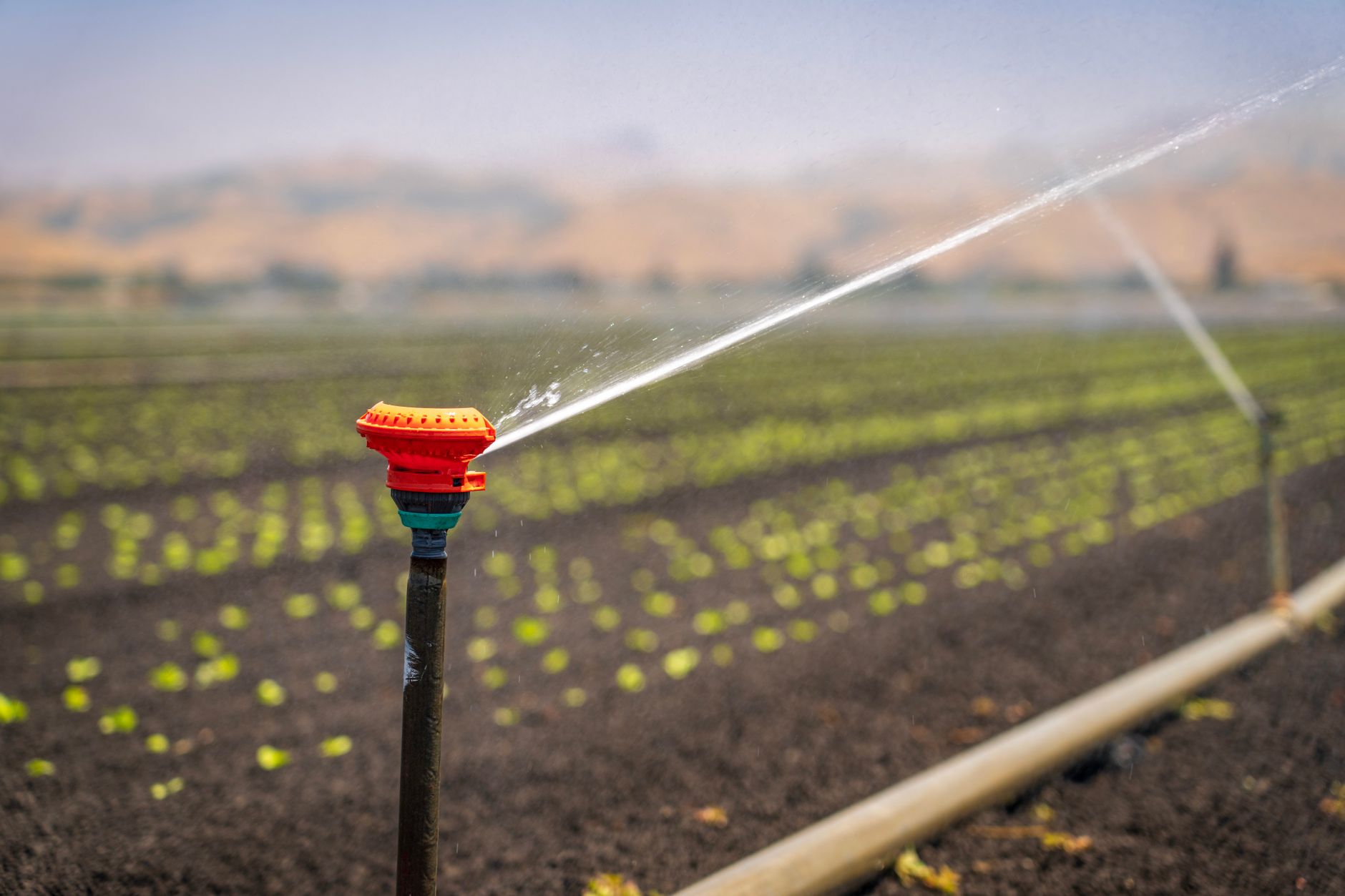 Landscape irrigation contractor working at a residential job site