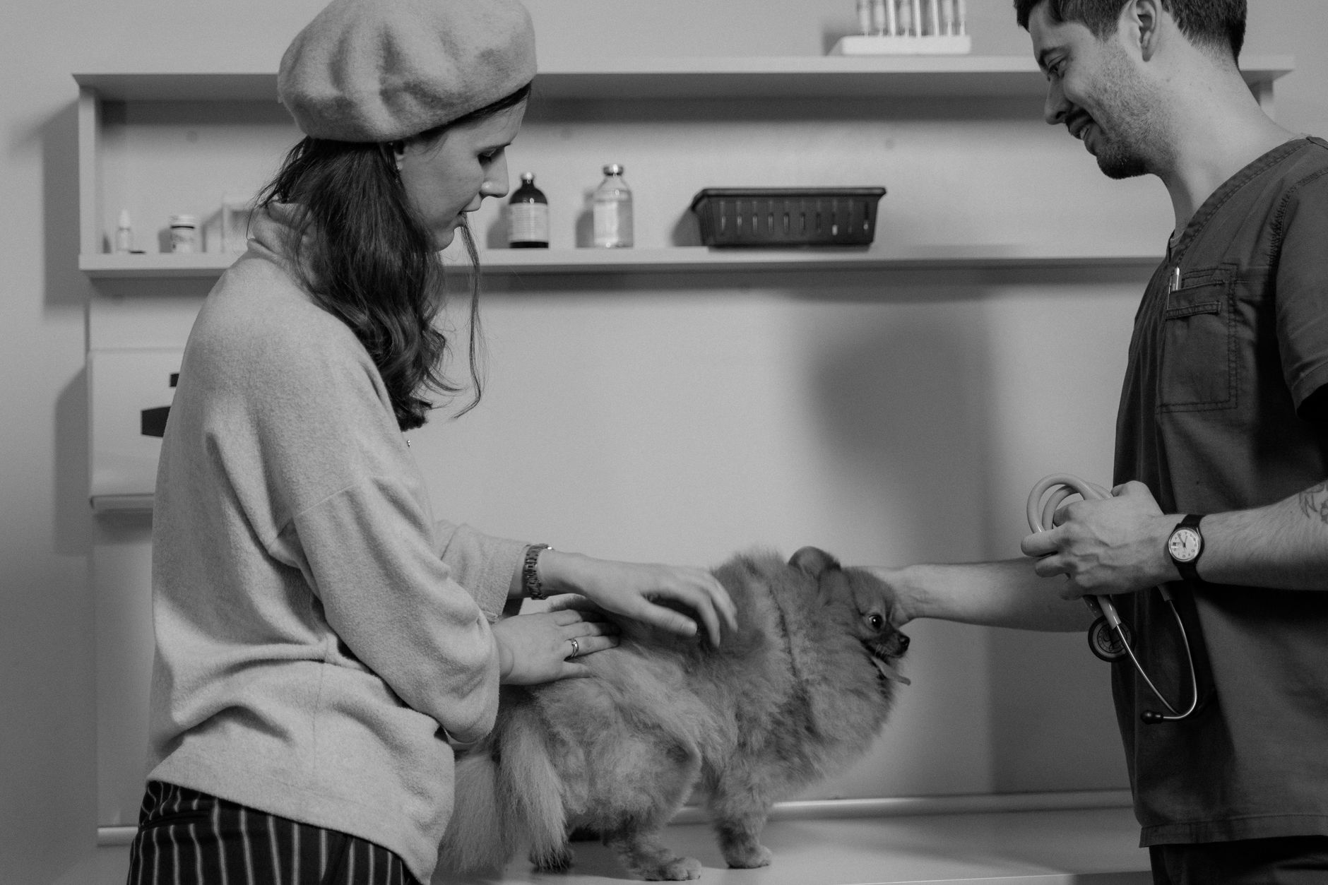 Veterinarian checking a puppy during a routine appointment