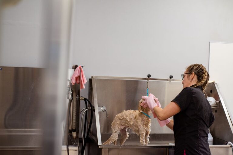 SEO for Dog Groomers: How to Book Out Your Schedule From Google Without Paying for Shared Leads
