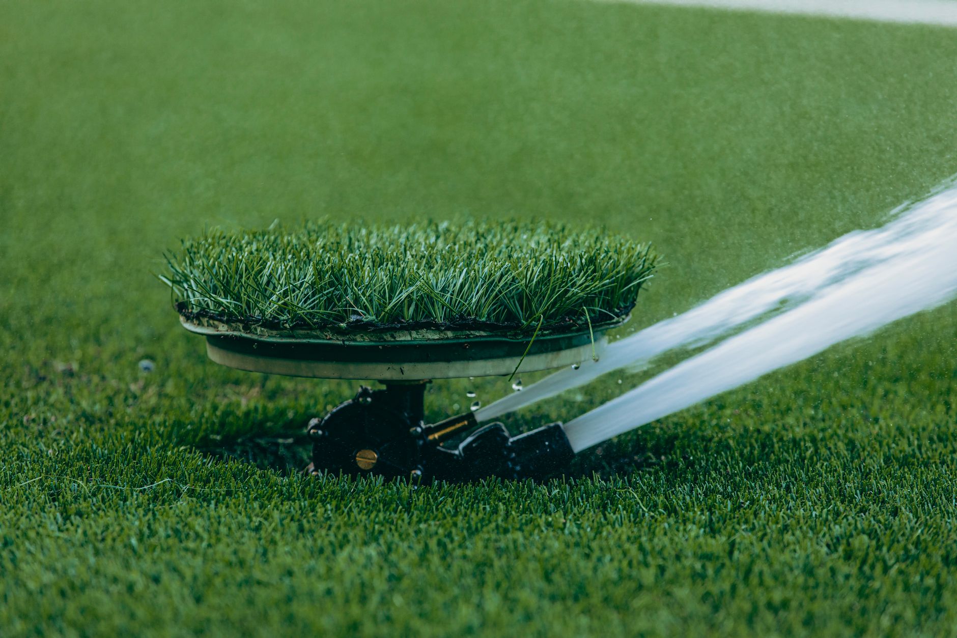 Pop-up sprinkler head watering a healthy green lawn