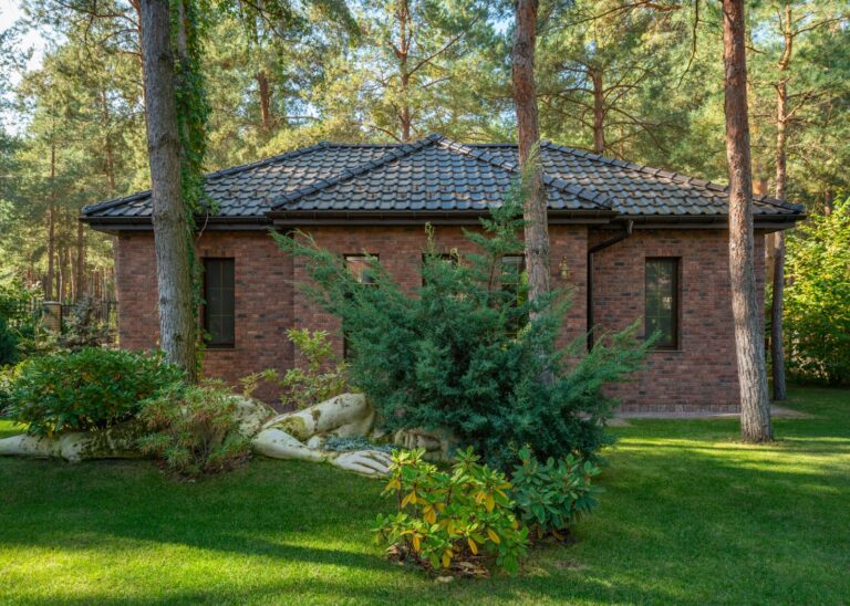 Blogging for Addiction Treatment Centers: How Rehab Facilities Win Admissions From Google Without Paying $150 a Click